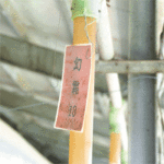 こだわり04